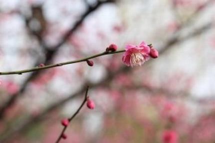 女人一旦下定决心分手怎么挽回